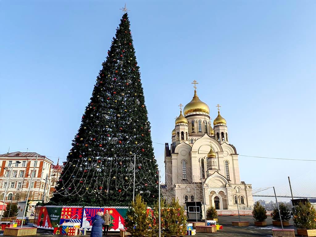 Тур "С новым годом, кошка!"